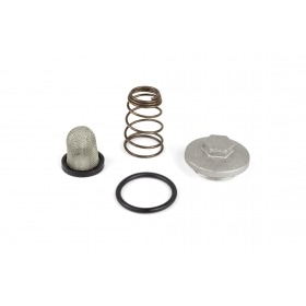 Eļļas filtra / spraudņa / atsperes / blīvējuma komplekts GY6