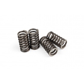 Пружины сцепления OEM качества AM6