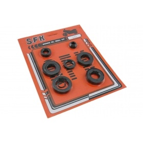 Oil Seal Set Minarelli AM6