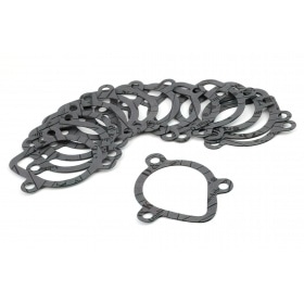 Water Pump Gasket Derbi Euro 2 (EBE / EBS)