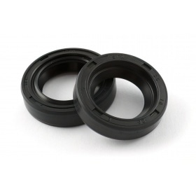 Oil Seals for crankshaft Piaggio