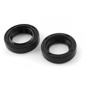 Oil Seals for crankshaft Piaggio