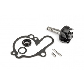 Ūdens sūkņa remonta komplekts Minarelli AM6