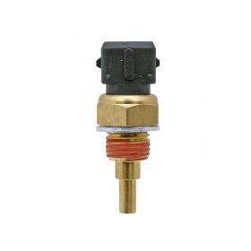 Temperature Sensor M14x1.25mm AM6 2-pin