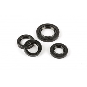 Eļļas blīvju komplekts Peugeot Ludix / Speedfight 3/4