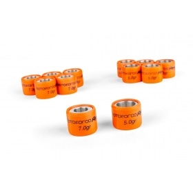 Variator Racing Piaggio