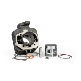 Cylinder Naraku 70cc Peugeot horizontal AC