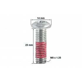 Screw f. brake disc lens head M8 x 1.25 x 25mm Peugeot