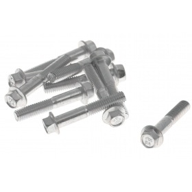 Sešskrūve ieplūdes kolektoram M6x35mm