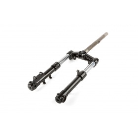 Dakša Piaggio Typhoon pēc 2010. gada