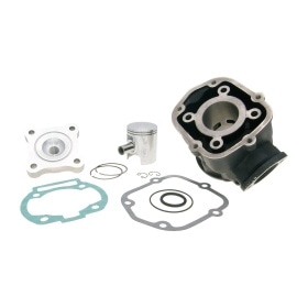 Cylinder Kit 50cc Polini Sport cast iron D.39.88mm Derbi Senda D50B0