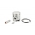 Cylinder Kit Polini 66cc cast iron Racing D.43mm 10mm pin Piaggio Bravo / Grillo Cylinder Kit Polini 66cc cast iron Racing D.43mm 10mm pin Piaggio Bravo / Grillo