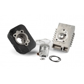 Cylinder Polini Racing Piaggio Bravo d.43