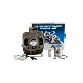 Polini Cylinder 50cc cast iron Peugeot horizontal AC (Ludix / Kisbee / Speedfight 4)