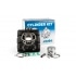 Cylinder Kit Polini 63cc cast iron D.45mm Yamaha DT50 R /M /MX AC -92 Cylinder Kit Polini 63cc cast iron D.45mm Yamaha DT50 R /M /MX AC -92