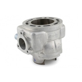 Cylinder Polini Evolution 2010 94cc stroke=44mm Yamaha Aerox / MBK Nitro