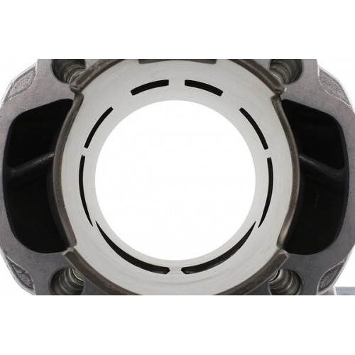 Cylinder Polini Evolution 2010 94cc stroke=44mm Yamaha Aerox / MBK Nitro Cylinder Polini Evolution 2010 94cc stroke=44mm Yamaha Aerox / MBK Nitro