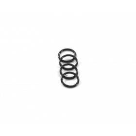 O-rings banjo bolts Polini