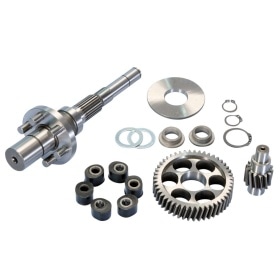 Secondary Transmission Polini 14/48 incl. wheel shaft with buffers Piaggio after 1998