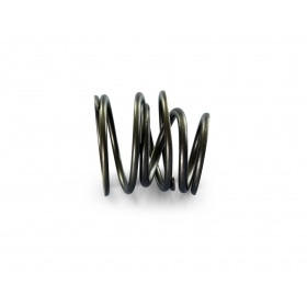 Clutch Springs Polini Vespa