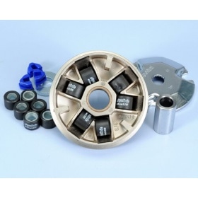 CVT Variator Hi-Speed Polini Malaguti F12 Digit Kat Euro 2 model 2000