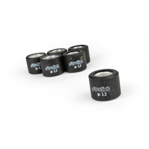 CVT Variator Polini Hi Speed Sym Orbit 50cc 4-stroke CVT Variator Polini Hi Speed Sym Orbit 50cc 4-stroke