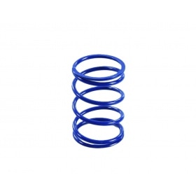 Torque Spring Polini Evolution 4,8mm Piaggio