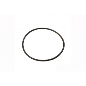 Polini Water Pump Belt mopeds