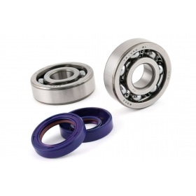 Polini Crankshaft Bearings + Oil Seals Minarelli AM6