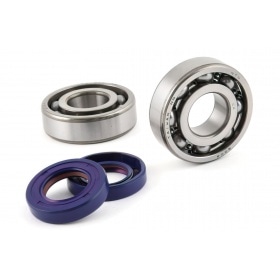 Kloķvārpstas gultņi Polini + Eļļas blīvslēgi Derbi Euro 2 / Euro 3