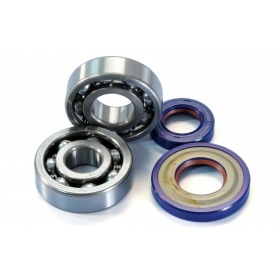 Bearing + Oil Seal Kit for crankshaft Polini (19mm journals) Vespa 50cc PK / 125cc Primavera