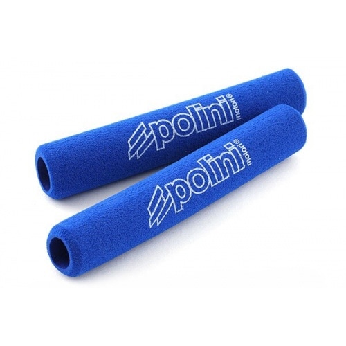 Putu uzmavas Polini (bremzes/sajūgs) Putu uzmavas Polini (bremzes/sajūgs)