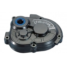 Polini Transmission Cover Piaggio NRG (12mm)