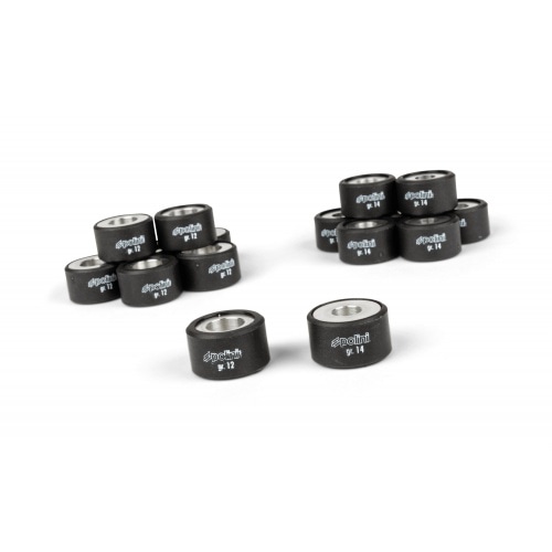 Polini Variator Polini Variator