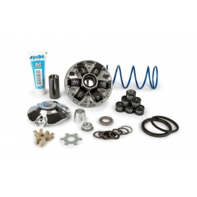 CVT Polini Hi-Speed Evo 2 d.16mm - 12.5° Minarelli horizontāli / Ķīna 2-taktu dzinējs