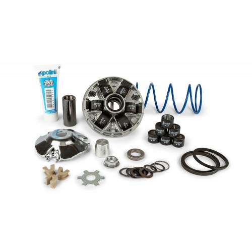 CVT Polini Hi-Speed Evo 2 d.16mm - 12.5° Minarelli horizontāli / Ķīna 2-taktu dzinējs CVT Polini Hi-Speed Evo 2 d.16mm - 12.5° Minarelli horizontāli / Ķīna 2-taktu dzinējs