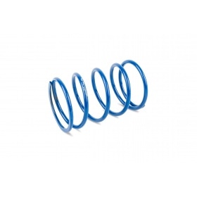 CVT variators Polini Hi Speed Evolution 2 D.14.8mm Piaggio Zip / Typhoon