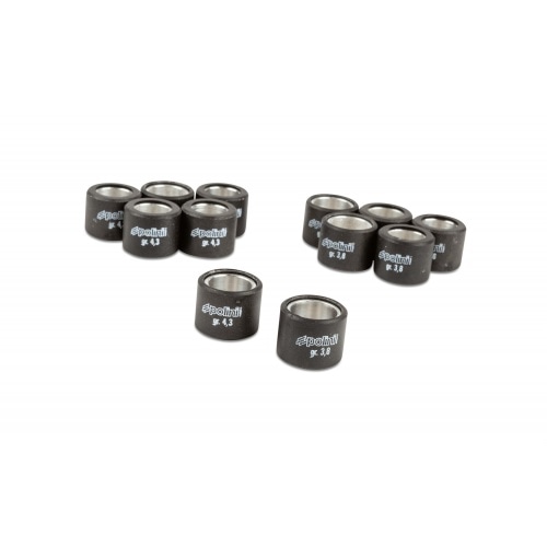 CVT variators Polini Hi Speed Evolution 2 D.14.8mm Piaggio Zip / Typhoon CVT variators Polini Hi Speed Evolution 2 D.14.8mm Piaggio Zip / Typhoon