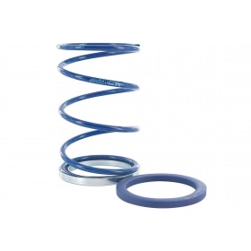 Polini Torque Spring + Evo Slider Piaggio