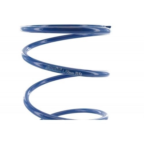 Polini Torque Spring + Evo Slider Piaggio Polini Torque Spring + Evo Slider Piaggio