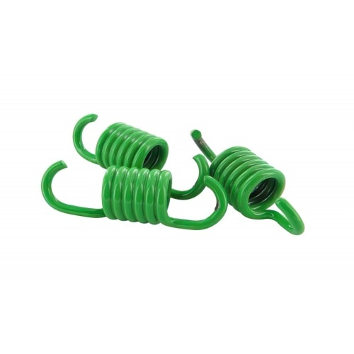 Clutch springs Polini Speed Clutch for original clutch, Minarelli 107mm, d=1.7mm, green (medium) Clutch springs Polini Speed Clutch for original clutch, Minarelli 107mm, d=1.7mm, green (medium)