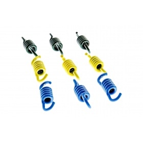 Clutch Springs Polini Speed Clutch 3G