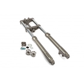 Fork complete - original Rieju MRT