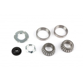 Fork complete - original Rieju MRT