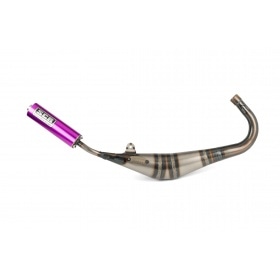 Exhaust SCR Corse Handmade 50-70 AM6 purple