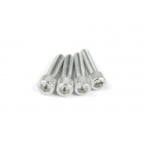 Intake Screw Set M6x25mm Alu Silver (x4)