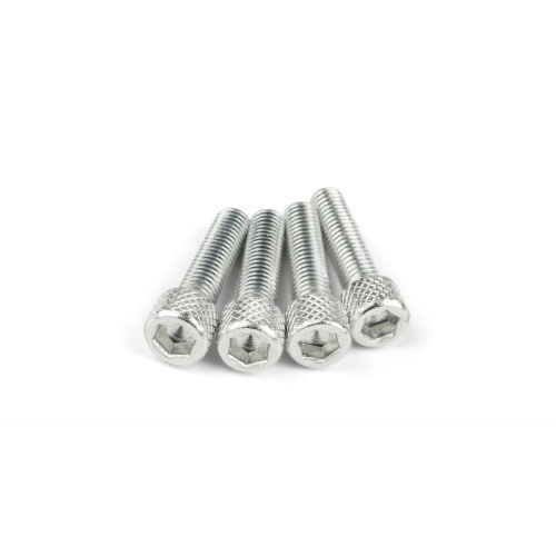 Intake Screw Set M6x25mm Alu Silver (x4) Intake Screw Set M6x25mm Alu Silver (x4)