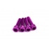 Intake Screw Set M6x25mm Alu Purple (x4) Intake Screw Set M6x25mm Alu Purple (x4)