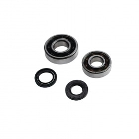 FAG Crankshaft Bearings + Oil Seals reinforced Peugeot 103
