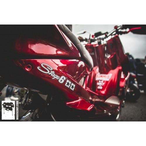 Uzlīme Stage6 logo 25x4,5cm balta Uzlīme Stage6 logo 25x4,5cm balta